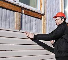 Best Siding Painting and Refinishing  in Edgewater, MD